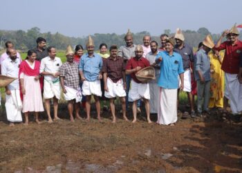 സംസ്ഥാന സമ്മേളനം കോട്ടയത്ത്- നെൽകൃഷി – വിത ഉദ്ഘാടനം